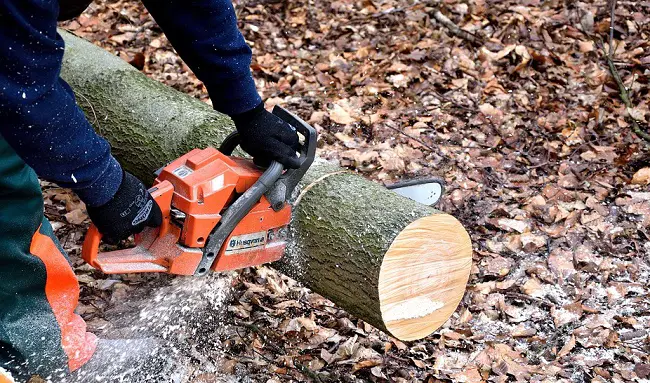 Holding and Cutting Lumber Using Chainsaw
