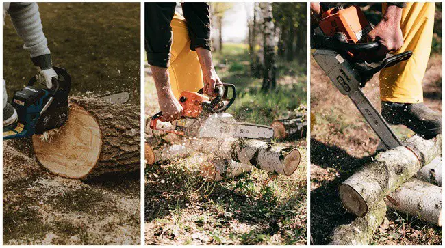 different types of chainsaw for cutting logs