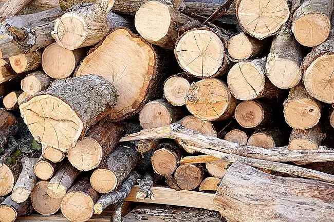 Why is heartwood better than sapwood?