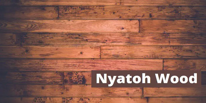 nyatoh wood