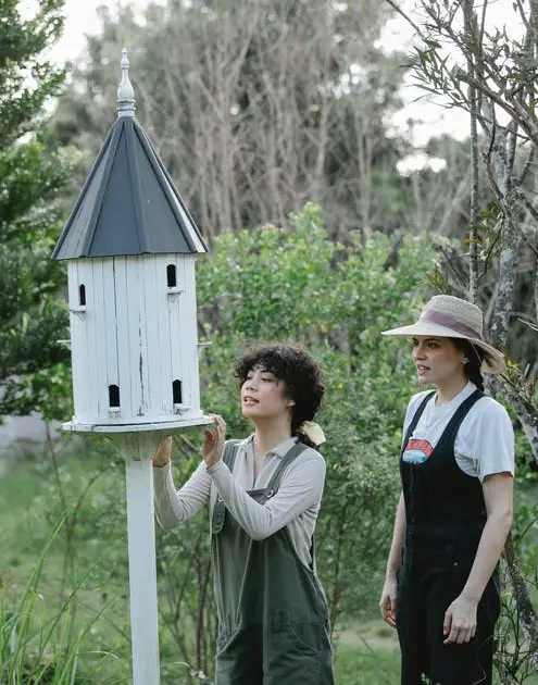 how to build a wooden birdhouse