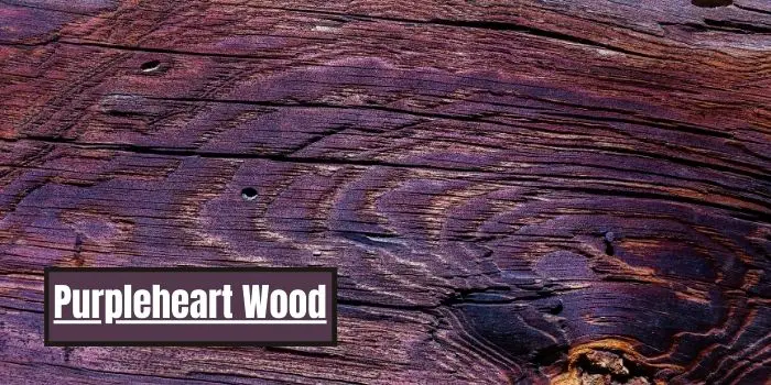 what is Purpleheart Wood