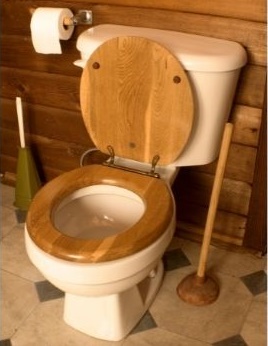 are wooden toilet seats in style