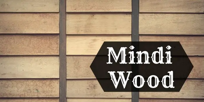 What is Mindi Wood