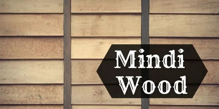 What is Mindi Wood – What You Can Use It For?