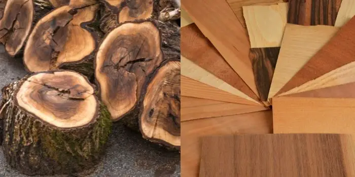 Solid Wood vs. Wood Veneer