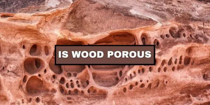 is wood porous