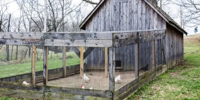 how to fasten chicken wire to wood