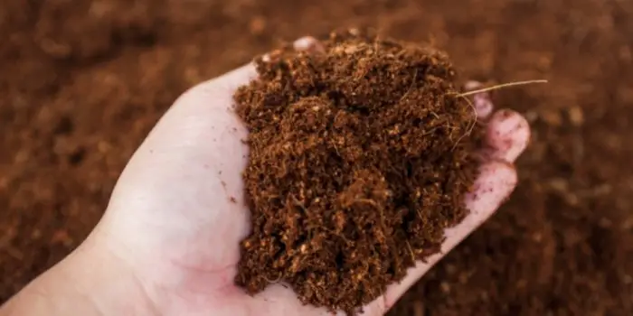 using sawdust for compost