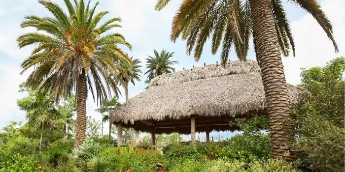 Tiki huts construction materials