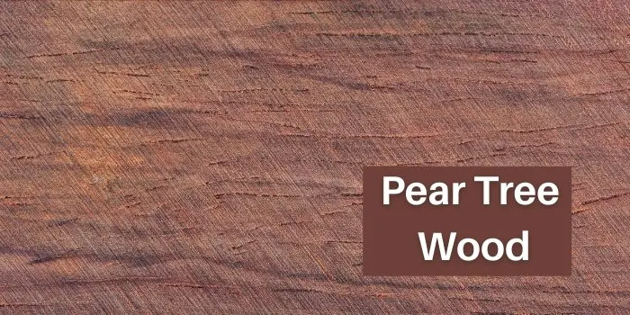 Pear Tree Wood