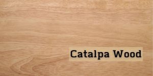Catalpa-Wood