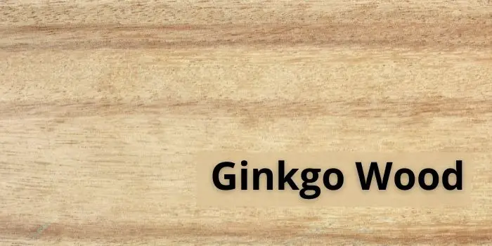 usage of ginkgo wood