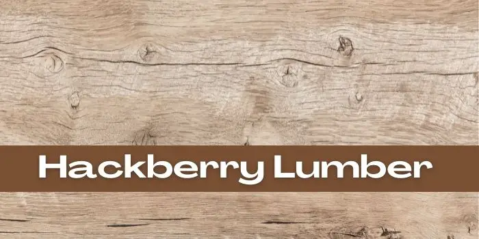 usage of hackberry lumber