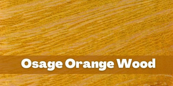 usage of osage orange wood