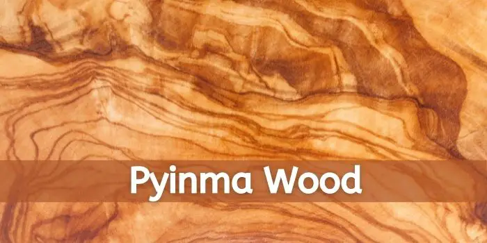 usage of pyinma wood