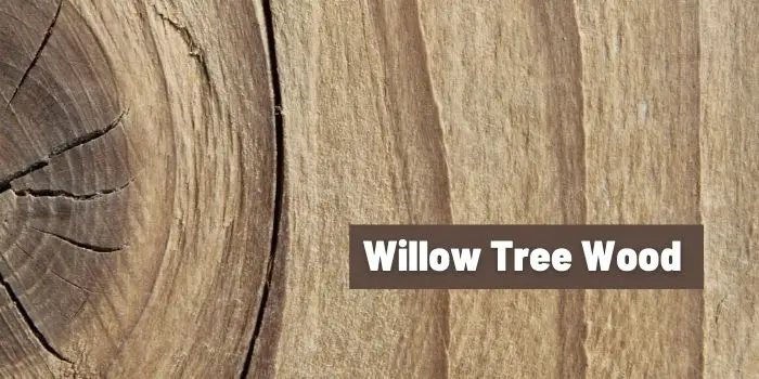 usage of willow tree wood