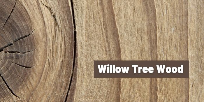 willow tree wood