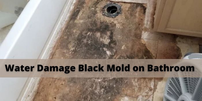 fixing mold on bathroom subfloor
