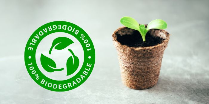 is wood biodegradable or not?