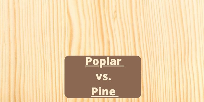 staining poplar vs pine
