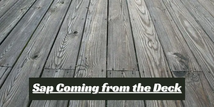 how to stop sap coming out of the deck boards