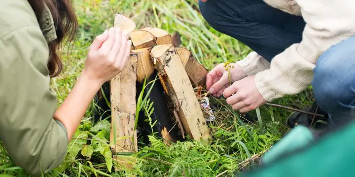 types of wood for kindling