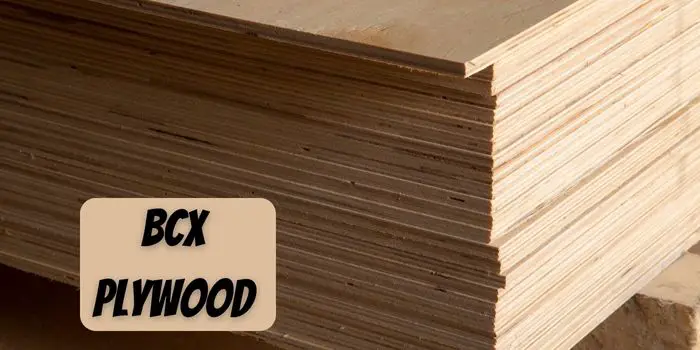 what does bcx plywood mean