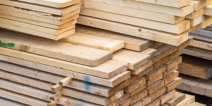 how to choose wood timber?