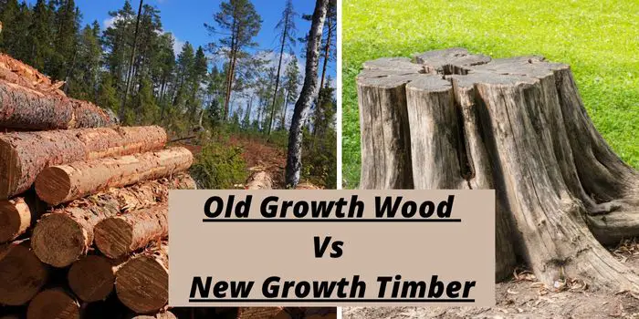 difference between old growth and new growth timber