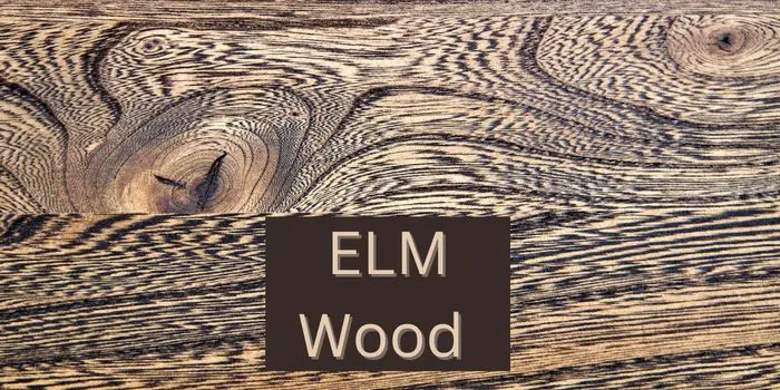 elm wood uses