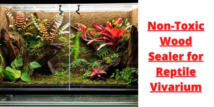 non-toxic wood sealer for reptile vivarium made of wood