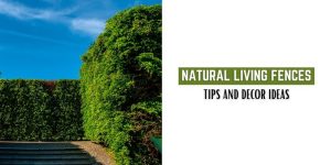 Natural-Living-Fences