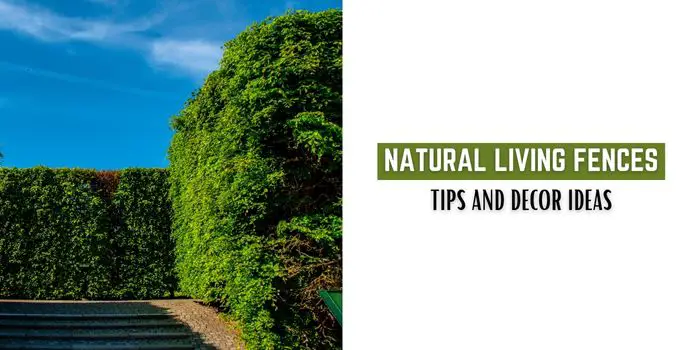BENEFITS OF NATURAL LIVING FENCE