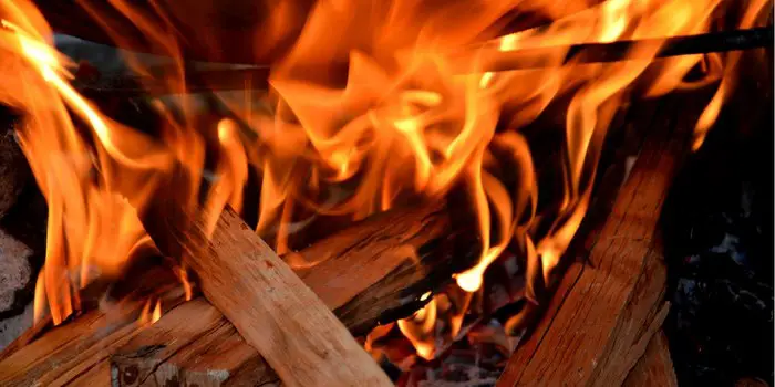 Can You Use Fir for Burning Fireplace